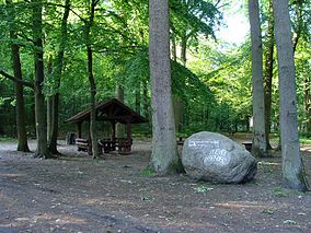 the-szczecin-landscape-park